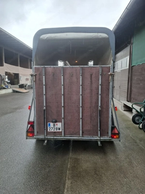 Pferdeanhänger Bild 3