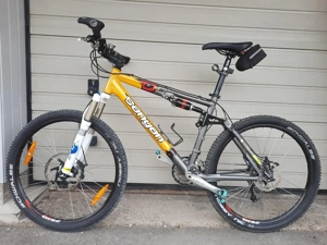 MTB Canyon Nerve ES6