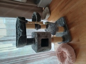 Kratzbaum   Kuschelbett