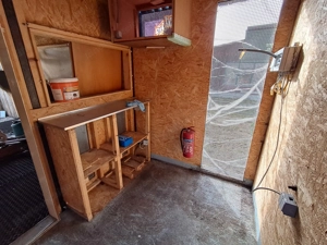 Faschingswagen Bild 2