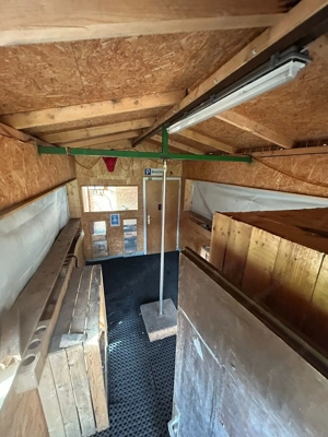 Faschingswagen Bild 3