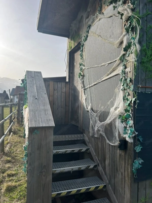 Faschingswagen Bild 4