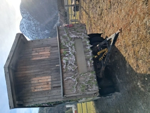 Faschingswagen Bild 5