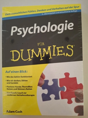 Psychologie für dummies 