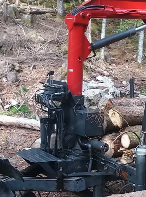 Kran Atlas Forstkran Bild 4