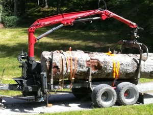 Kran Atlas Forstkran Bild 3