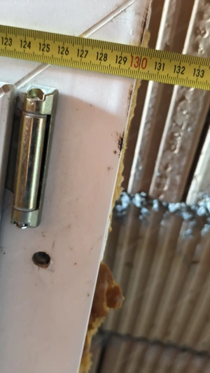 Doppelglas 2türig Fenster  Bild 3