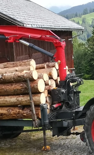 Kran Atlas Forstkran Bild 2