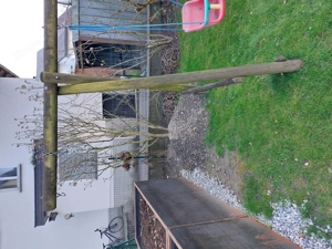 Horner Schaukel Pfänder incl. Rutsche und mehreren Schaukeln, Schaukelboje Bild 4