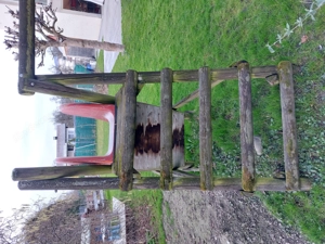 Horner Schaukel Pfänder incl. Rutsche und mehreren Schaukeln, Schaukelboje Bild 5