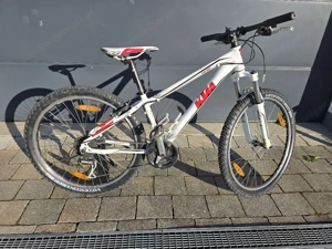 KTM Chicago 36cm MTB  Bild 2