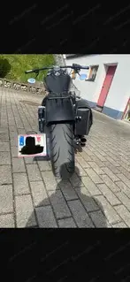 Harley Davidson Street Bob Bild 4