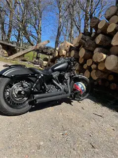 Harley Davidson Street Bob Bild 2