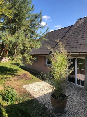 älteres Haus mit Charme im Südburgenland, Uhudlergegend Bild 3