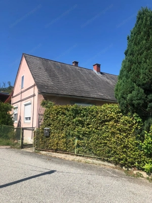 älteres Haus mit Charme im Südburgenland, Uhudlergegend Bild 6