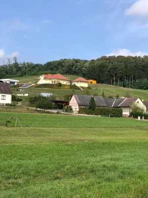 älteres Haus mit Charme im Südburgenland, Uhudlergegend Bild 9