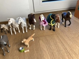Schleich Tiere mit Accessoires Bild 4