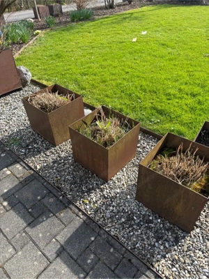 Blumentöpfe metall Bild 3