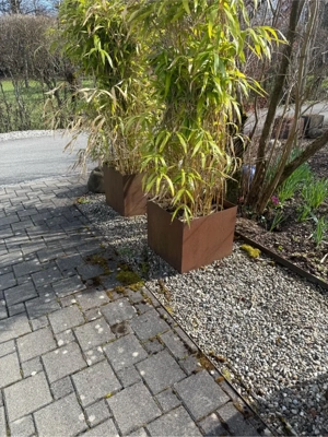 Blumentöpfe metall Bild 4