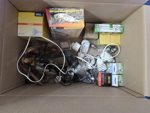 Terrarium zu verkaufen Bild 3