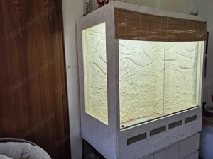 Terrarium zu verkaufen Bild 2