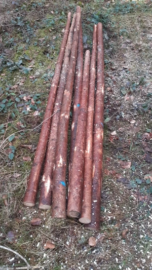 Holzlatten für Pfähle  Bild 3