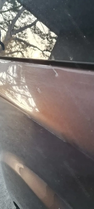 Pickup Nissan Navara Bild 7