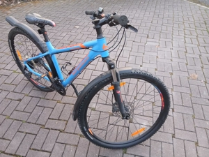 Jugendrad 29",  bergamont Revox, MTB like Bild 6