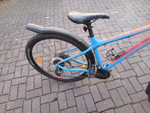 Jugendrad 29",  bergamont Revox, MTB like Bild 4