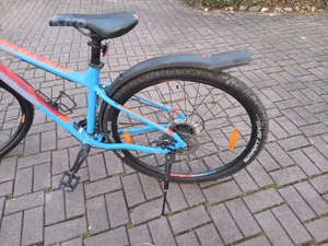 Jugendrad 29",  bergamont Revox, MTB like Bild 7