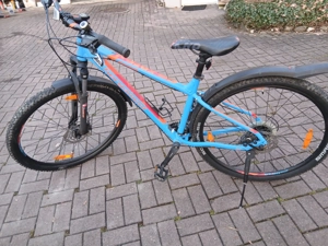 Jugendrad 29",  bergamont Revox, MTB like
