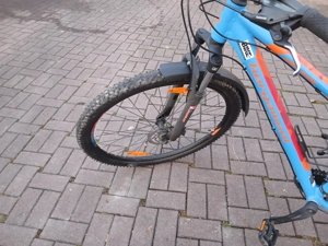 Jugendrad 29",  bergamont Revox, MTB like Bild 5