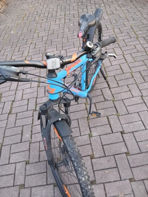 Jugendrad 29",  bergamont Revox, MTB like Bild 2
