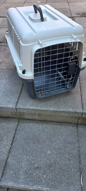 Hundebox neuwertig Bild 2