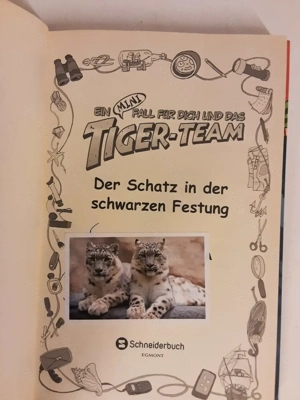 Thomas Brezina - Ein Mini Fall für dich und das Tiger-Team  Bild 4