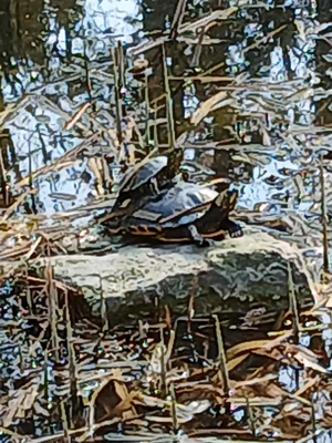 M75 mag,F.finden unsere nippel gegenseitig reizen