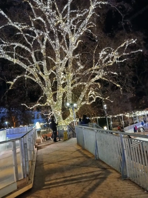 klitorismassagegenüasslichlecken