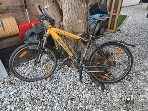 Mountain-Bike Bild 2