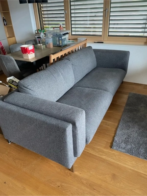 graues Sofa Bild 2