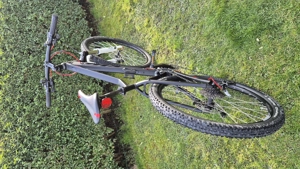 KTM Mountainbike weiss anthrazit  Bild 2