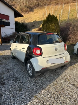 smart forfour Bild 3
