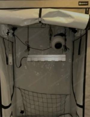 Growzelt mit Sanlight Q6W