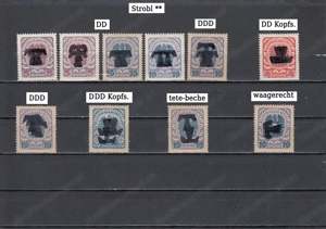 Briefmarken Ö. Lokalausgaben mit Aufdruck 1919 Kopfstehend tete-beche Postfrisch Bild 4