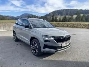 Skoda Karoq Bild 5