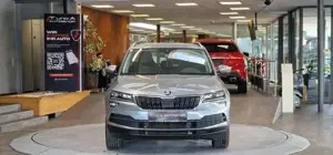 Skoda Karoq Bild 2