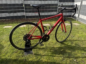  Canyon Endurace AL 7.0 Bild 4