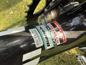 Bianchi Intenso Carbon Bild 4
