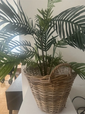 Kunstpflanze mit Korb Bild 2