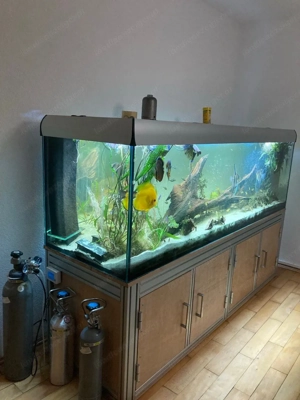 700L Aquarium 200x60x60 mit Unterschrank und Beleuchtung Bild 4