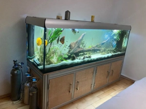 700L Aquarium 200x60x60 mit Unterschrank und Beleuchtung Bild 3
